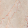 persian rose˹õ壨죩