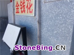 Ǯ