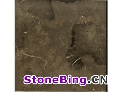 Ľ˹
