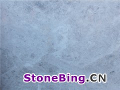 ƶ