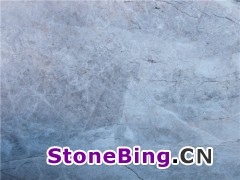 ƶ