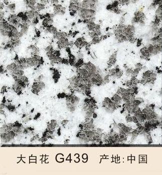 ׻G439