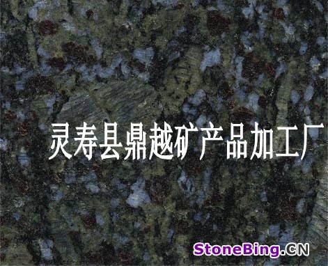 蝴蝶兰1_conew1