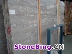 新品银灰龙