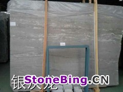 新品银灰龙