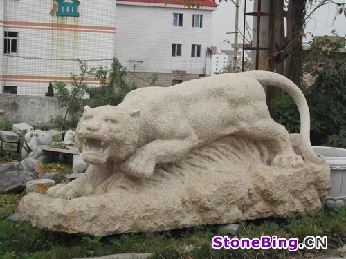 ϵ - DSCN5452