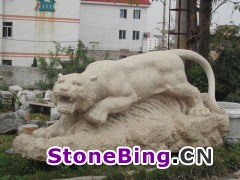 ϵ - DSCN5452