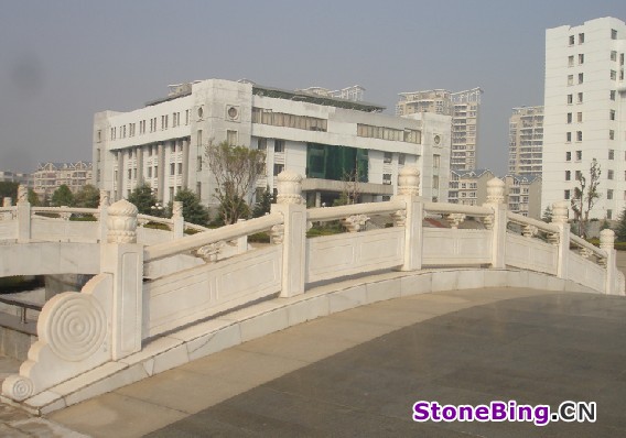 ϵ - DSC05534