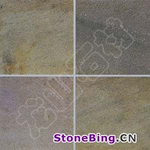 VNS-088A