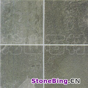 VNS-013A
