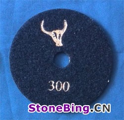 ţͷˮĥƬ300